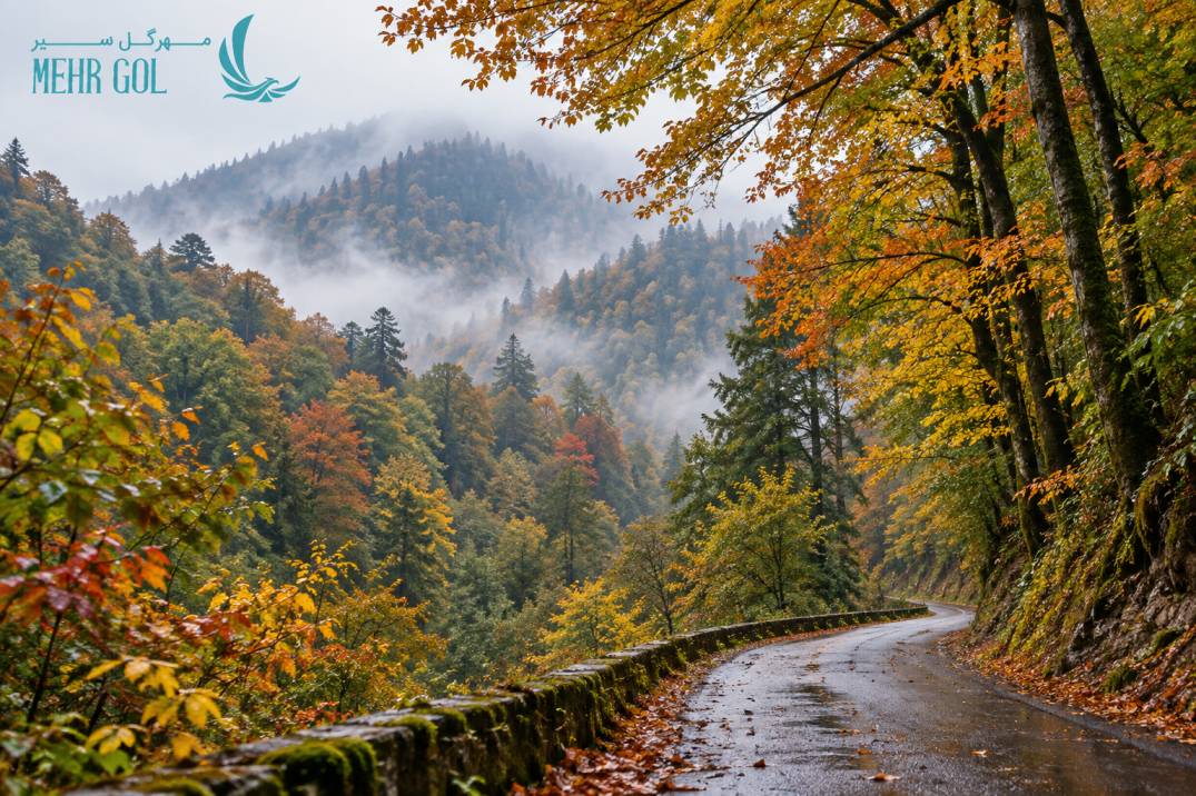 جنگل ناهارخوران گرگان در پاییز با جاده جنگلی، درختان رنگارنگ و مه کوهستانی