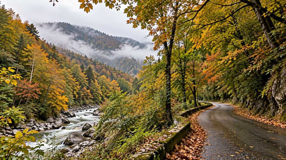 جاده جنگلی سوادکوه در میان درختان پاییزی، رودخانه و کوههای مهآلود