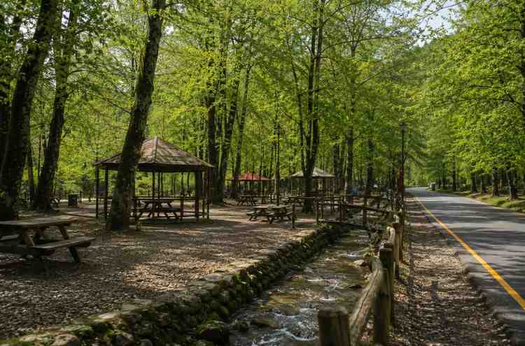 پارک جنگلی کشپل