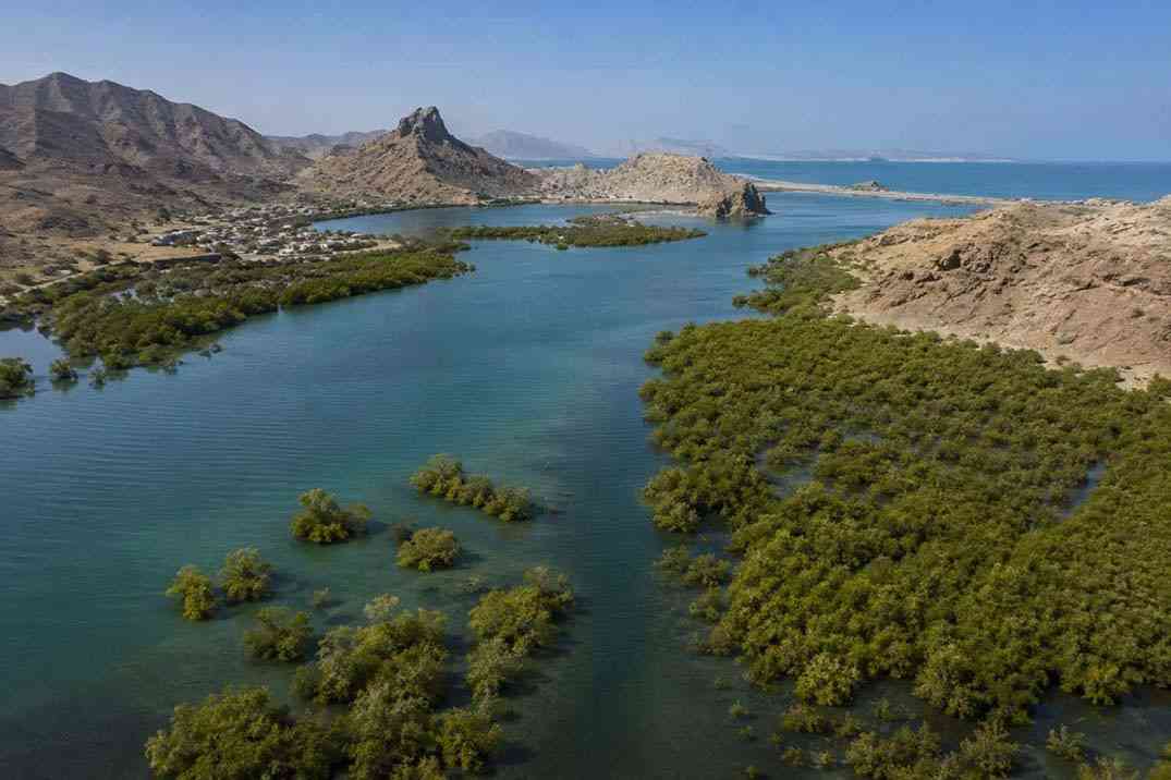 خلیج گواتر و جنگل حرا