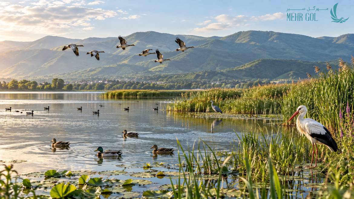 پرندگان مهاجر و تنوع زیستی در دریاچه زریوار مریوان