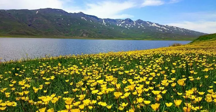 دریاچه نئور