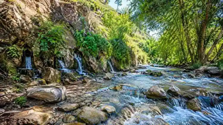 چهارچشمه صحنه